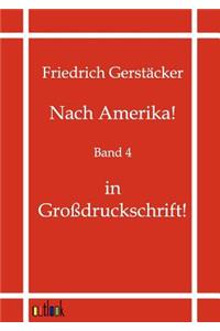 Nach Amerika!