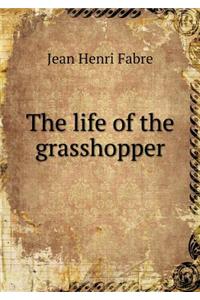 The life of the grasshopper