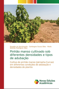 Pinhão manso cultivado sob diferentes densidades e tipos de adubação