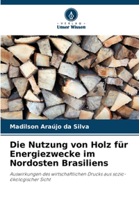 Nutzung von Holz für Energiezwecke im Nordosten Brasiliens