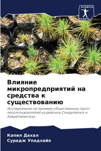 Влияние микропредприятий на средства к су