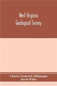West Virginia Geological Survey. Part I. The living flora of West Virginia. Part II. The Fossil Flora of West Virginia.