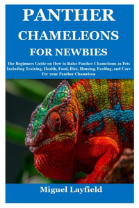 Panther Chameleons for Newbies