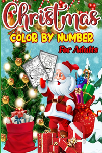 Christmas Color By Number For Adults