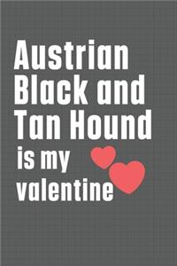 Austrian Black and Tan Hound is my valentine
