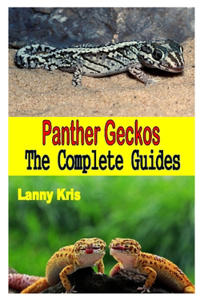 Panther Gecko the Complete Guides