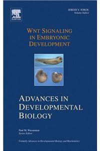 Wnt Signaling in Embryonic Development