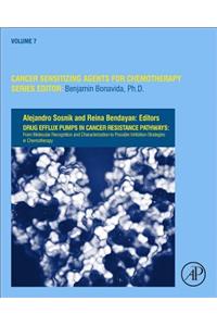 Drug Efflux Pumps in Cancer Resistance Pathways: From Molecular Recognition and Characterization to Possible Inhibition Strategies in Chemotherapy