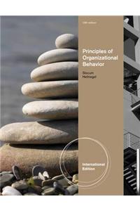Principles of Organizational Behavior, International Edition