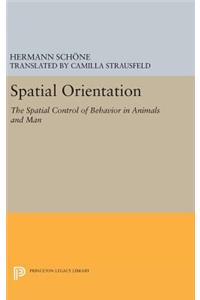 Spatial Orientation