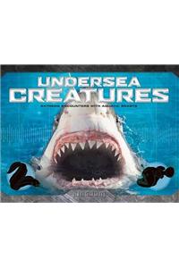 Kingdom: Undersea Creatures