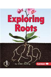Exploring Roots