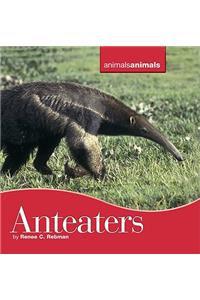 Anteaters