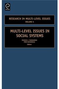 Multi-Level Issues in Social Systems