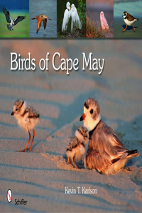 Birds of Cape May