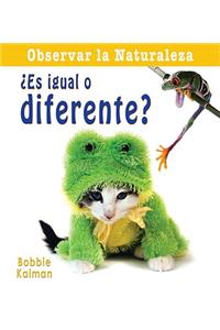 Es Igual O Diferente?
