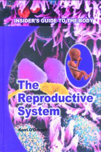 Reproductive System