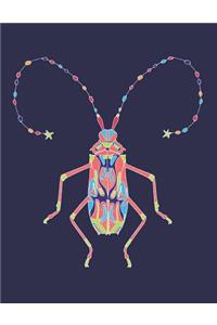 Coleoptera Beetle Notebook