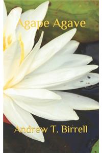 Agape Agave