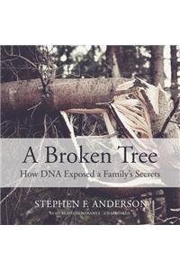 Broken Tree Lib/E