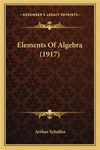 Elements of Algebra (1917)