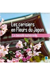 La Beaute Ephemere - Les Cerisiers En Fleurs Du Japon 2018