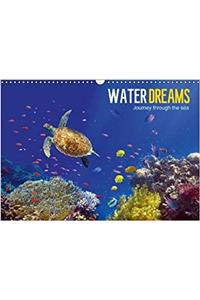 Water Dreams-Journey Through the Sea 2018