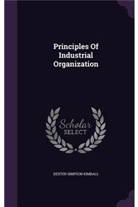 Principles of Industrial Organization