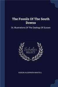 Fossils Of The South Downs: Or, Illustrations Of The Geology Of Sussex