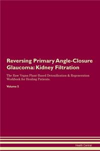 Reversing Primary Angle-Closure Glaucoma: Kidney Filtration The Raw Vegan Plant-Based Detoxification & Regeneration Workbook for Healing Patients.Volume 5