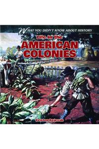 Life in the American Colonies