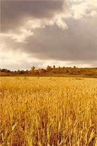 Mind Blowing Golden Fields Journal