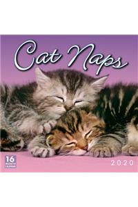 2020 Cat Naps 16-Month Wall Calendar