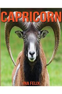 Capricorn