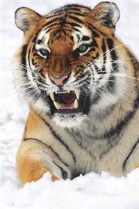 The Angry Tiger Journal