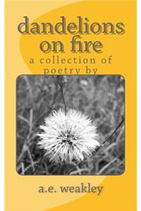 dandelions on fire