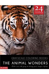 The Animal Wonders