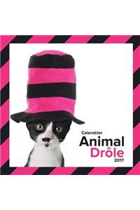 Calendrier Animal Drùle 2017