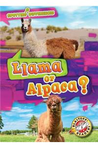 Llama or Alpaca?