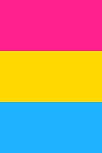 Pansexual Pride Flag Sketch Journal