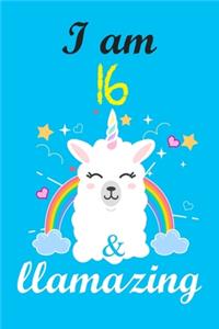I am 16 & llamazing