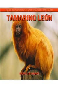 Tamarino león