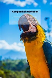 Composition Notebook