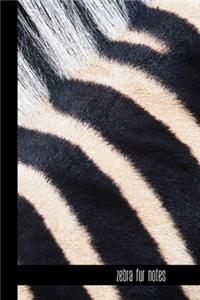 zebra fur notes