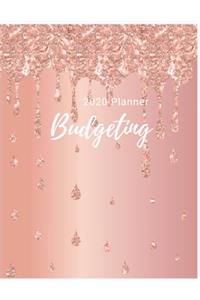 2020 Budgeting Planner