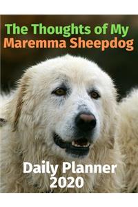 The Thoughts of My Maremma Sheepdog