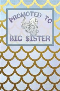 Promoted to Big Sister