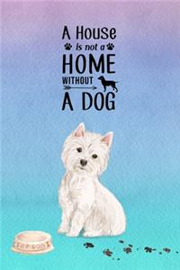 A House is Not a Home Without a Dog