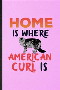 Home Is Where American Curl Is