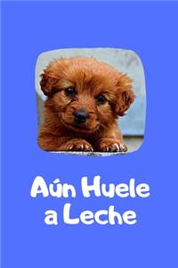 Aún Huele a Leche